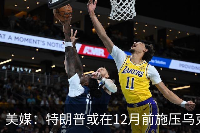 美媒：特朗普或在12月前施压乌克兰，让出顿巴斯